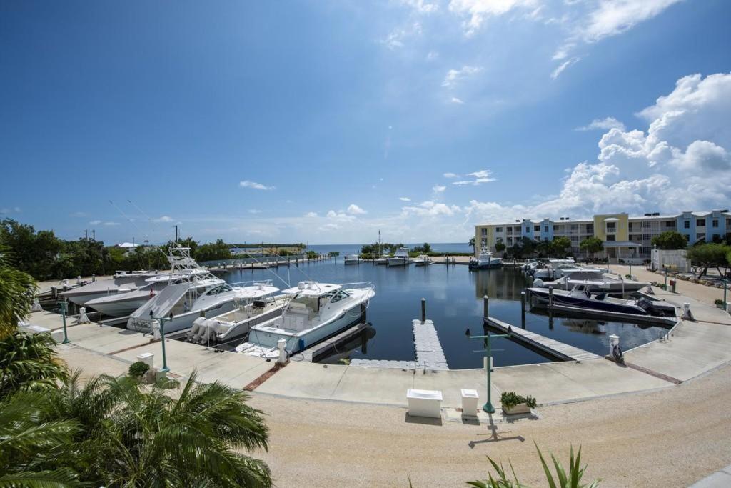 Licensed Mgr - 3/3.5 Modern Villa - Key Largo'S Premier Oceanfront Resort And Marina! 外观 照片